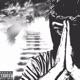 Holy hit feat Luke Glisson Single
