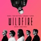 Wildfire Swanky Tunes Remix Single