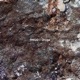 Oruga Single