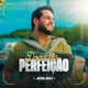 Dona da Perfeição Single