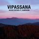 Vipassana feat Abhijay Sharma Single