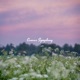 Canvas Symphony Single
