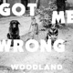 Got Me Wrong Single