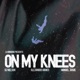 On My Knees Single