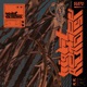 Night Autopsy Single