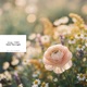 Hold the Light Single