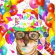SWAGday kitty Single