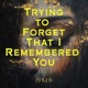 Trying to Forget That I Remembered You Single