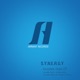 Invisible Flight Single