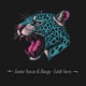 Little Story Single