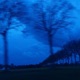 starry sky Single
