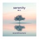 Serenity Single
