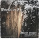 Waterfall on Fire Single