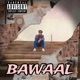 Bawaal Single