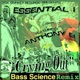 Crying Out Bass Science Remix Single