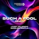 Such a Fool Remix Single