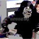 ROBBERY Single