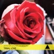 Tribal Love feat Aurson Single