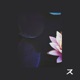 Ascending Single