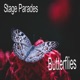 Butterflies Single