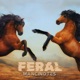 Feral Single
