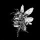 Pclb Ep Pt 1 EP