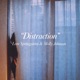 Distraction Single