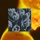 Tulipán feat Jota WR TÍp0 N O 14 Single
