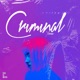 Criminal Single
