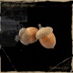 Nut Up Or Shut Up feat Izer Single