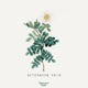Afternoon Rain Single
