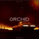 Orchid Single