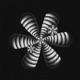 Until Meaning Emerges EP