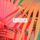 Puma feat Maikholl Single
