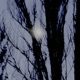 ЗАБЫЛ ТЕБЯ НАС EP