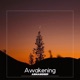 Awakening Single