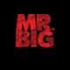 Mr BIG Single