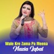 Wale Kre Zama Pa Meena Single