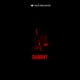 Diamant Single