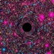 Black Hole Single