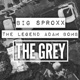 The Grey Single