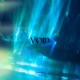 Void Single