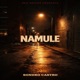 NAMULE Single