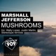 Mushrooms Remixes Pt 2 Single