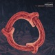 Groovy Circle Single