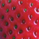 Strawberry Visions feat NO1 NOAH Single