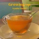 Growing Up Nashe Mein Single