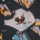 Honey Rot