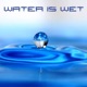 Water Is Wet