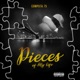 Pieces Of My Life Single